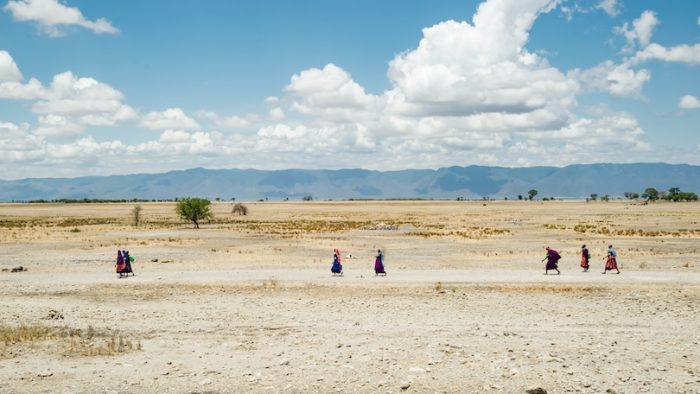 drought in times of climate change people searching for water in tanzania africa